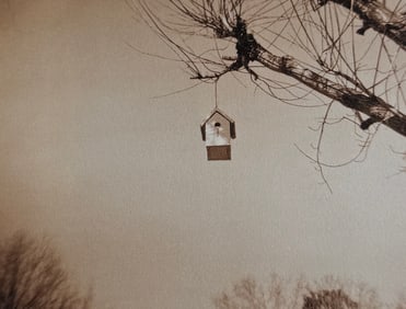 ROB MCDONALD, 'BIRDHOUSES' SIGNED/LIMITED EDITION WITH PHOTOS