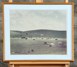 COLE WESTON, 'PALO CORONA RANCH'