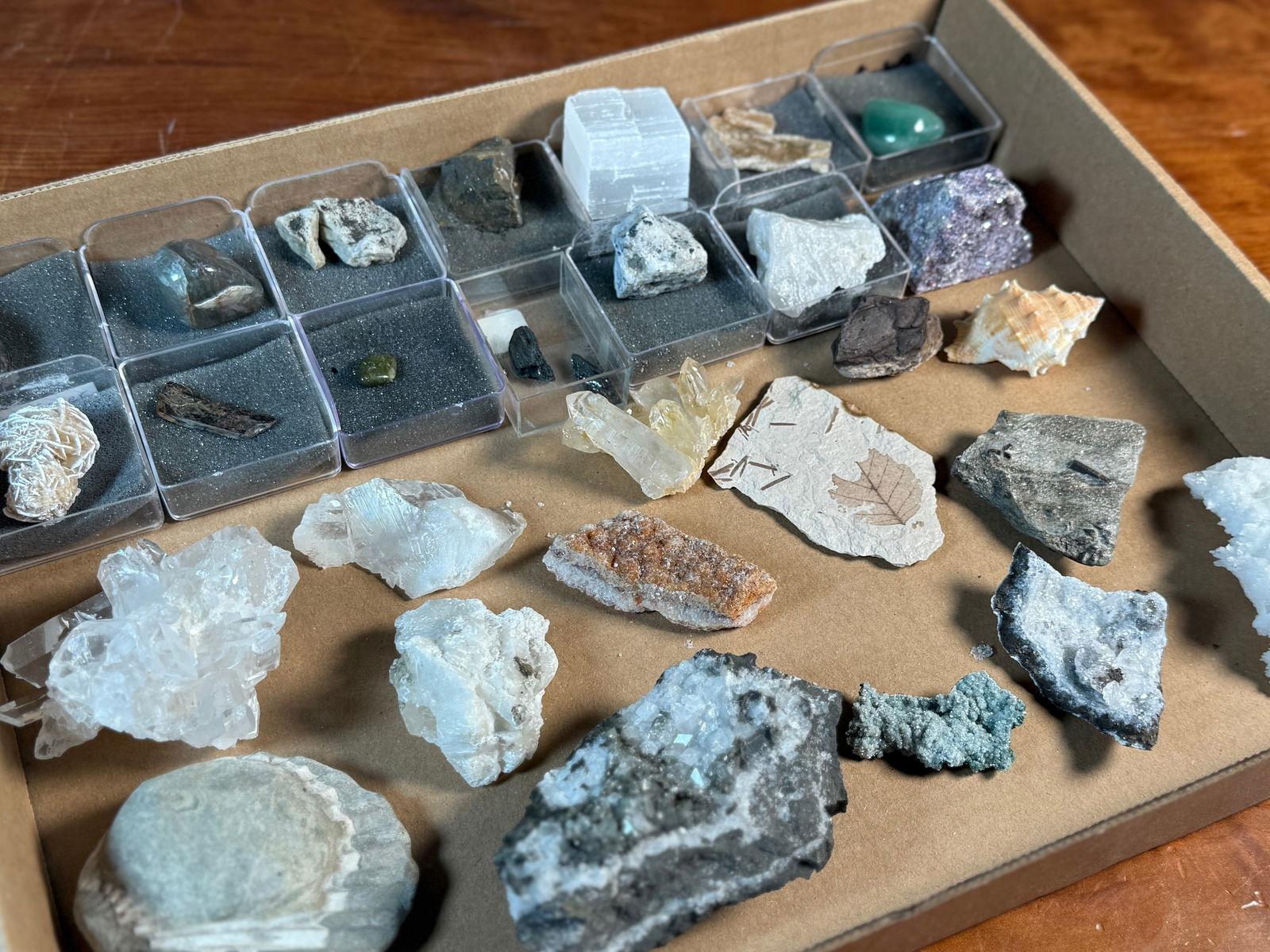 ROCK & MINERAL COLLECTION (1 of 4)