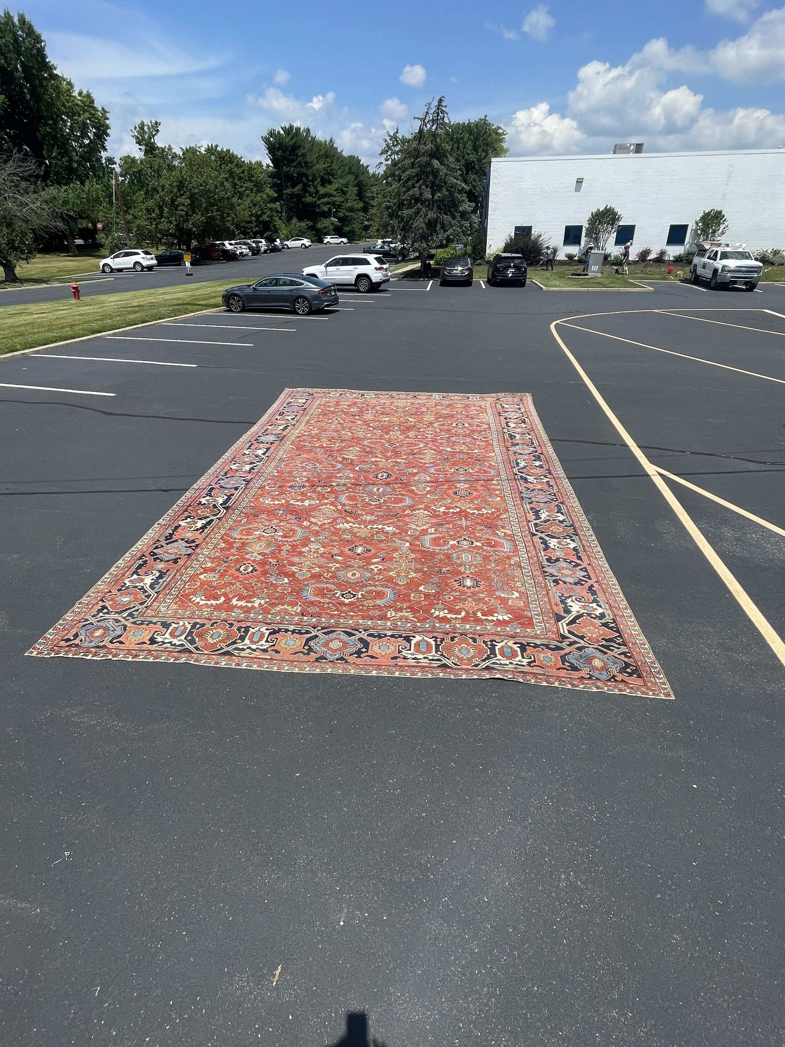 Vintage Handmade Heriz Palace Size Area Rug (1 of 19)