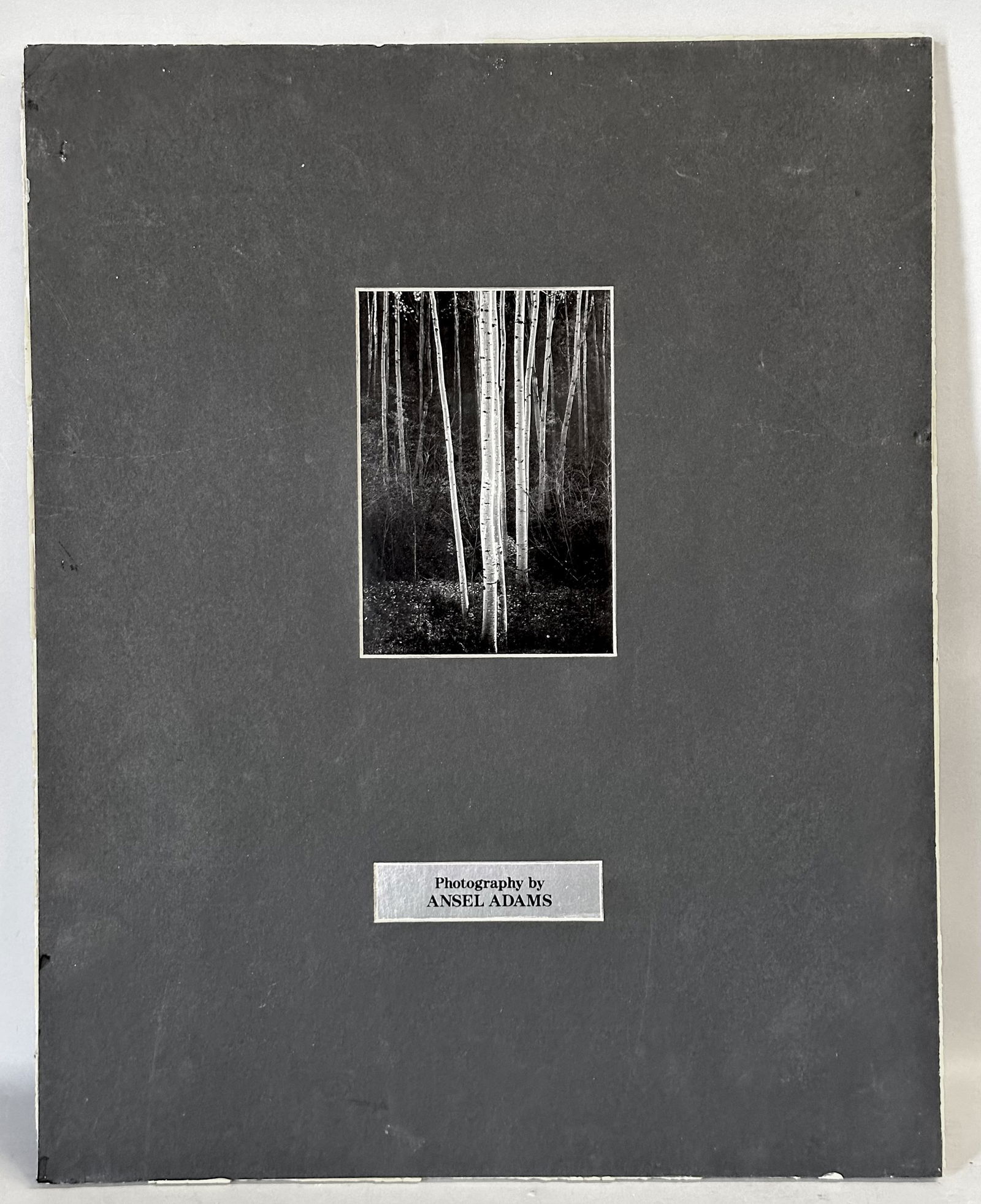 ANSEL ADAMS (b. 1902) Vintage Photogravure Photographic Print Titled: "Aspens #1" (1 of 6)