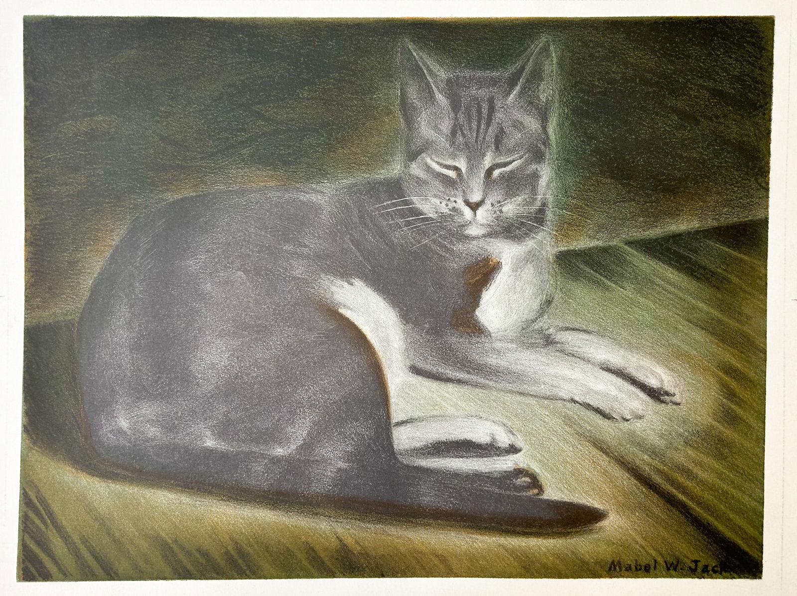Colored Lithography by Mabel W. Jack. Titled as''Tiger'' (1 of 5)