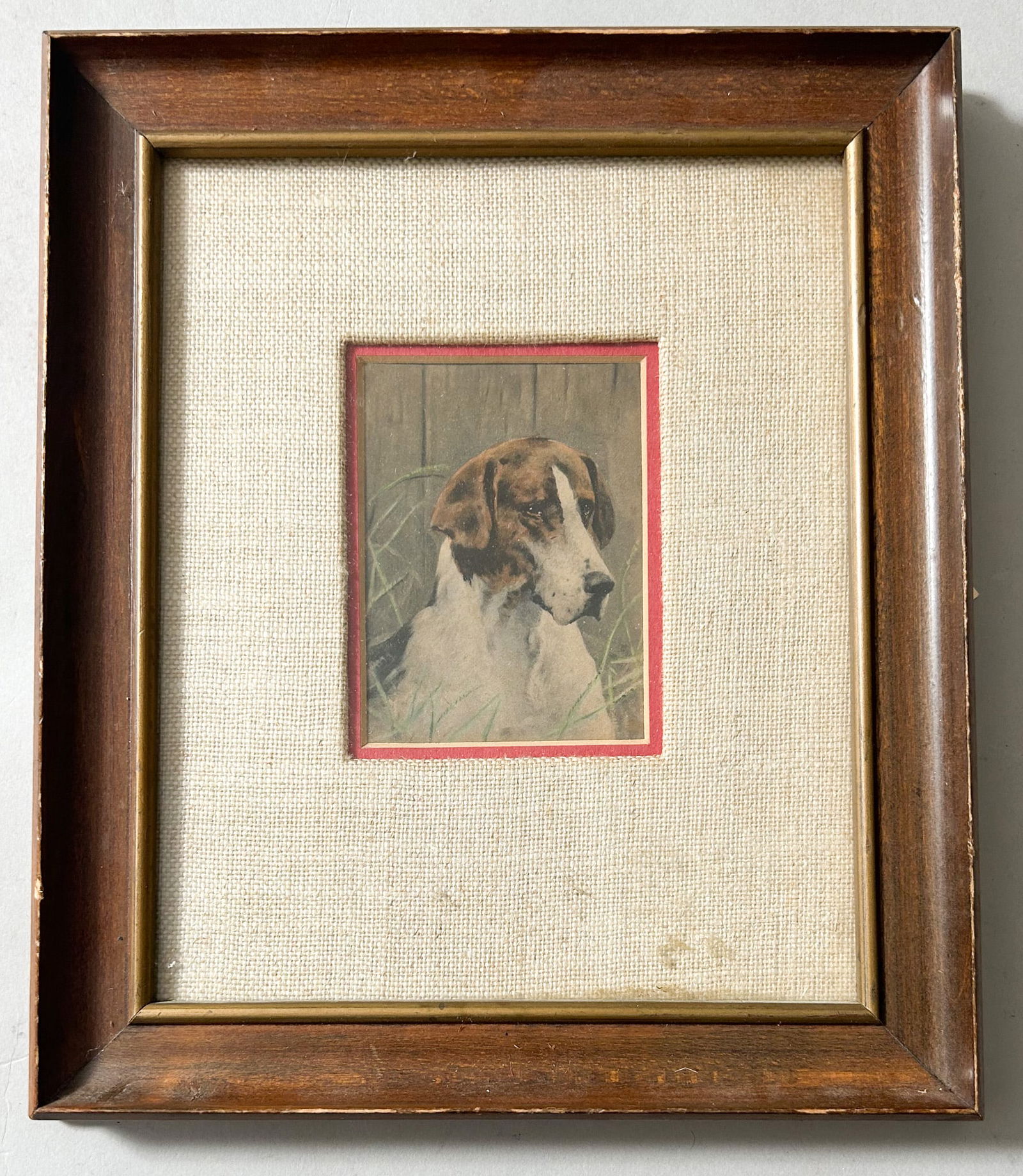 Vintage Framed Dog Portrait Print (1 of 4)