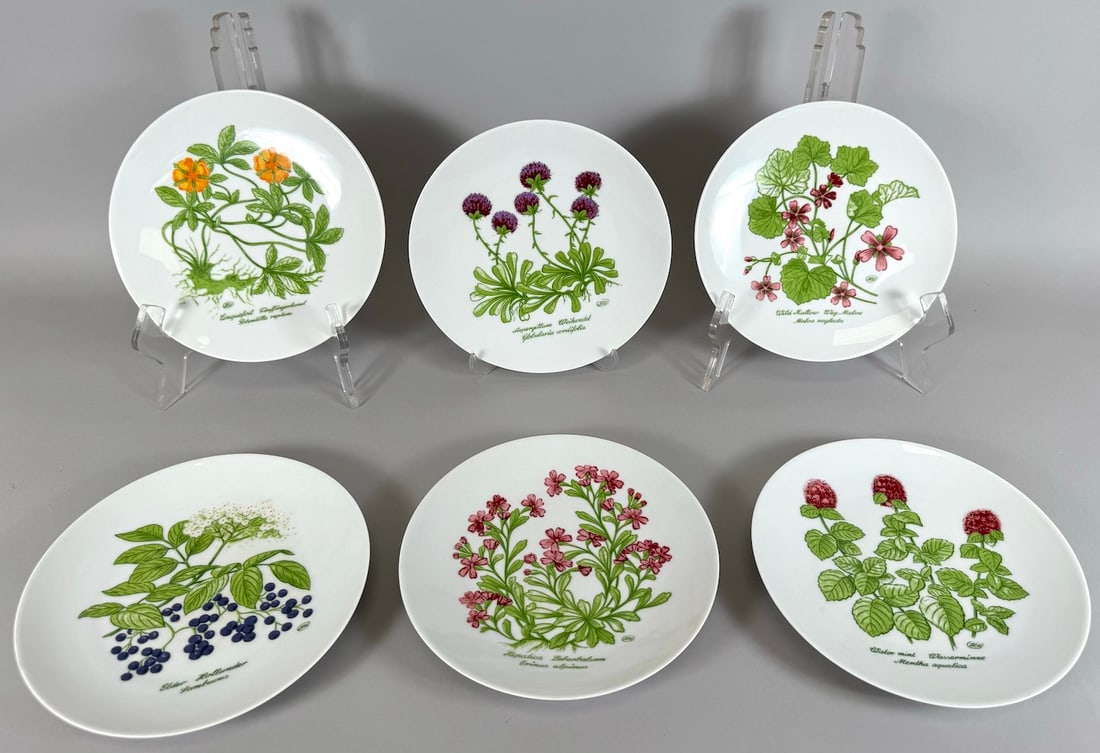 Set of 8 - Vintage Bareuther Waldsassen Botanical Herbs Salad Plates (1 of 9)