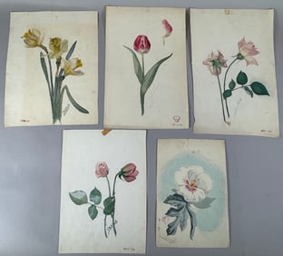 Lot of 5 - Floral Watercolor Paintings by J.M. Schuck Signed & Dated 1917-1918