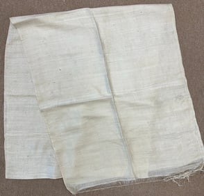 Silk Sheer Fabric Fringed Shawl