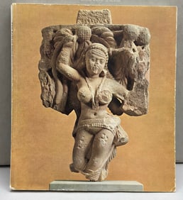 The Arts of India and Nepal: The Nasli and Alice Heeramaneck Collection, Museum of Fine Arts, Boston