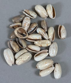 African Trade Beads (25+)