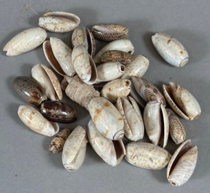 African Trade Beads (25+)