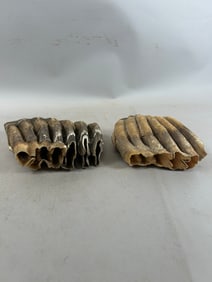 Ice Age Fossilized Mammal Mammoth Tooth- Lot of 2