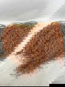 Kuba Grass Skirt, Ziare, Congo