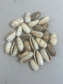 African Trade Beads (25+)