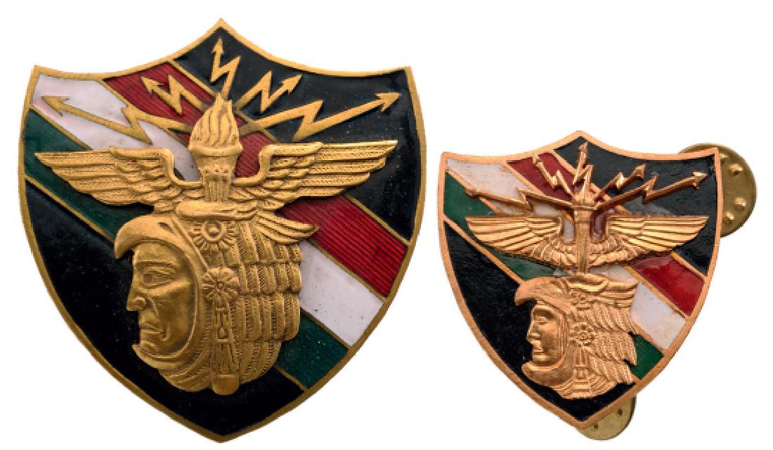 Group of 2 Mexican Aero Forces Badges (1 of 1)