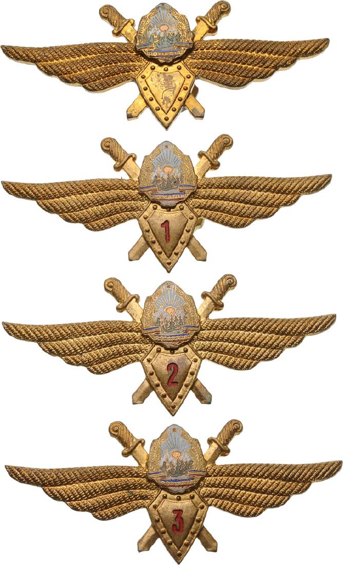 PILOT BADGES (1965-1989) (1 of 1)