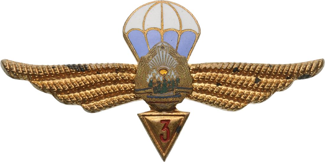 PARATROOPER BADGE (1 of 1)