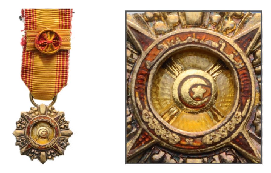 THE MOST ESTEEMED FAMILY ORDER OF BRUNEI (1 of 1)