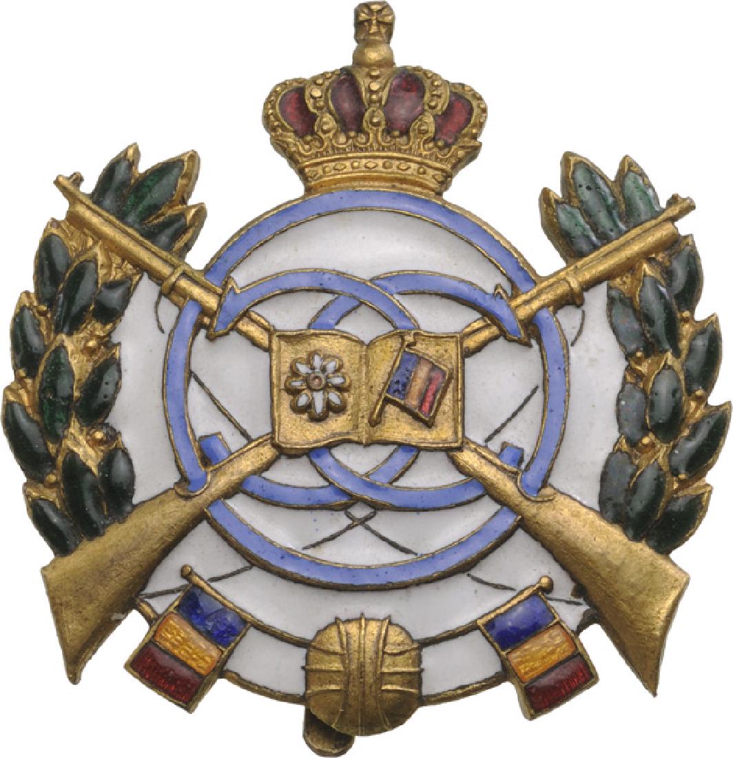 Premilitary Training Badge, King Carol II Model (1 of 1)