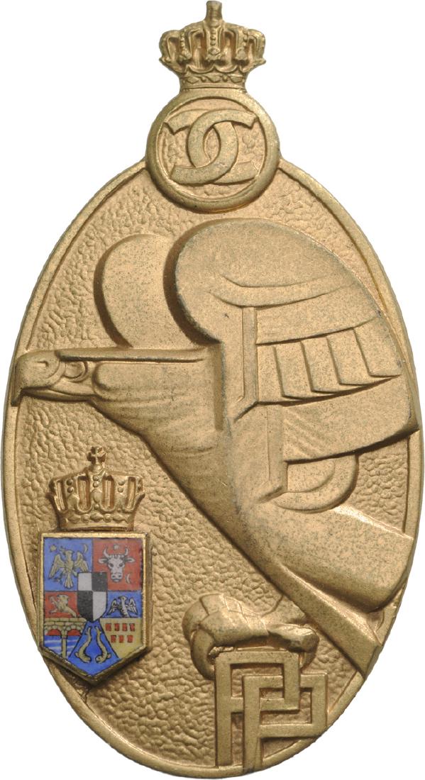 Premilitary Training Badge (1 of 1)