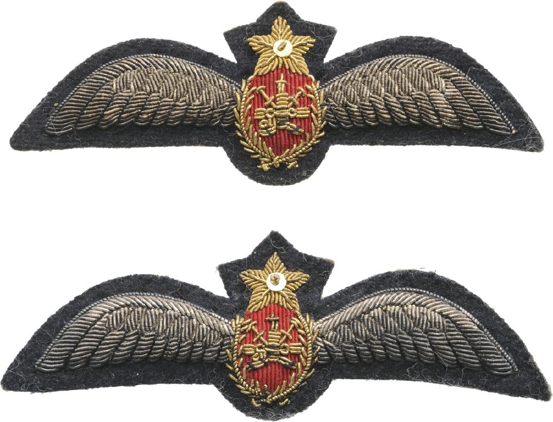 Pilot Wings (1 of 1)