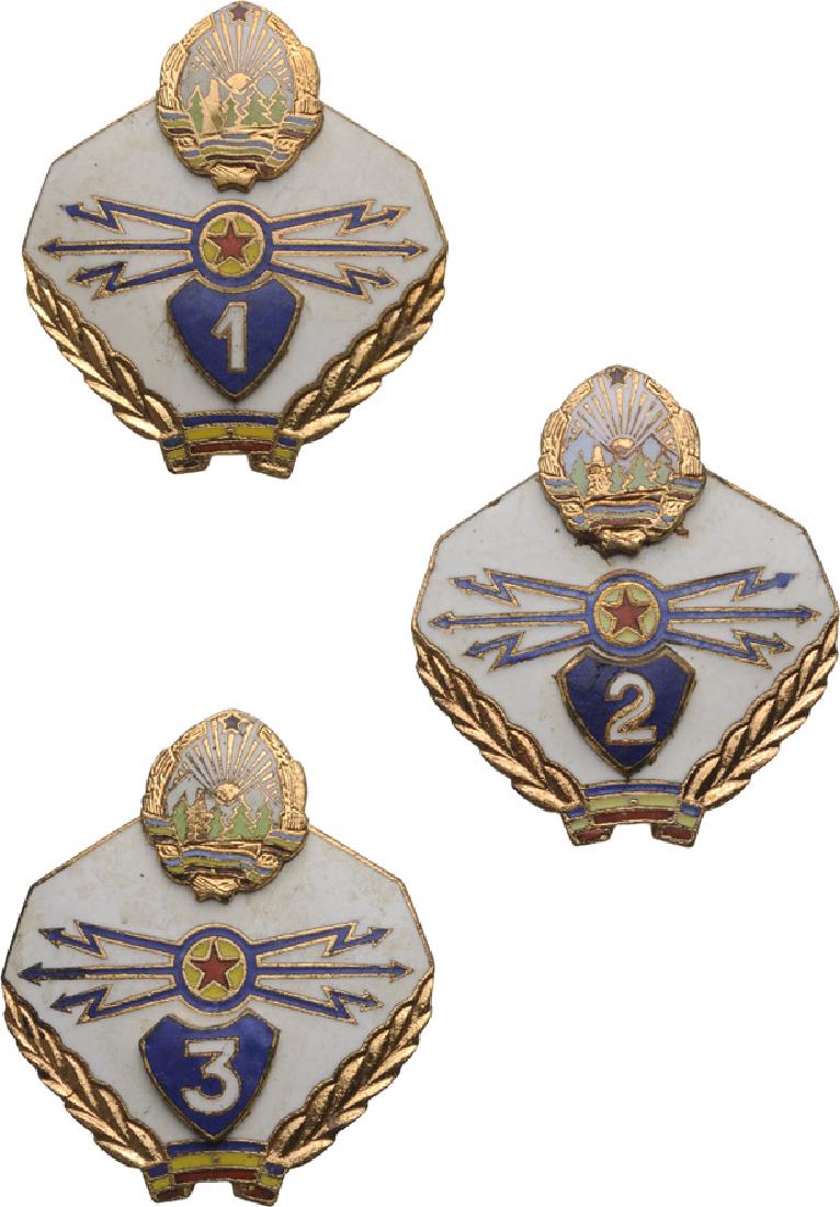 COMMUNICATION BADGE (1 of 1)