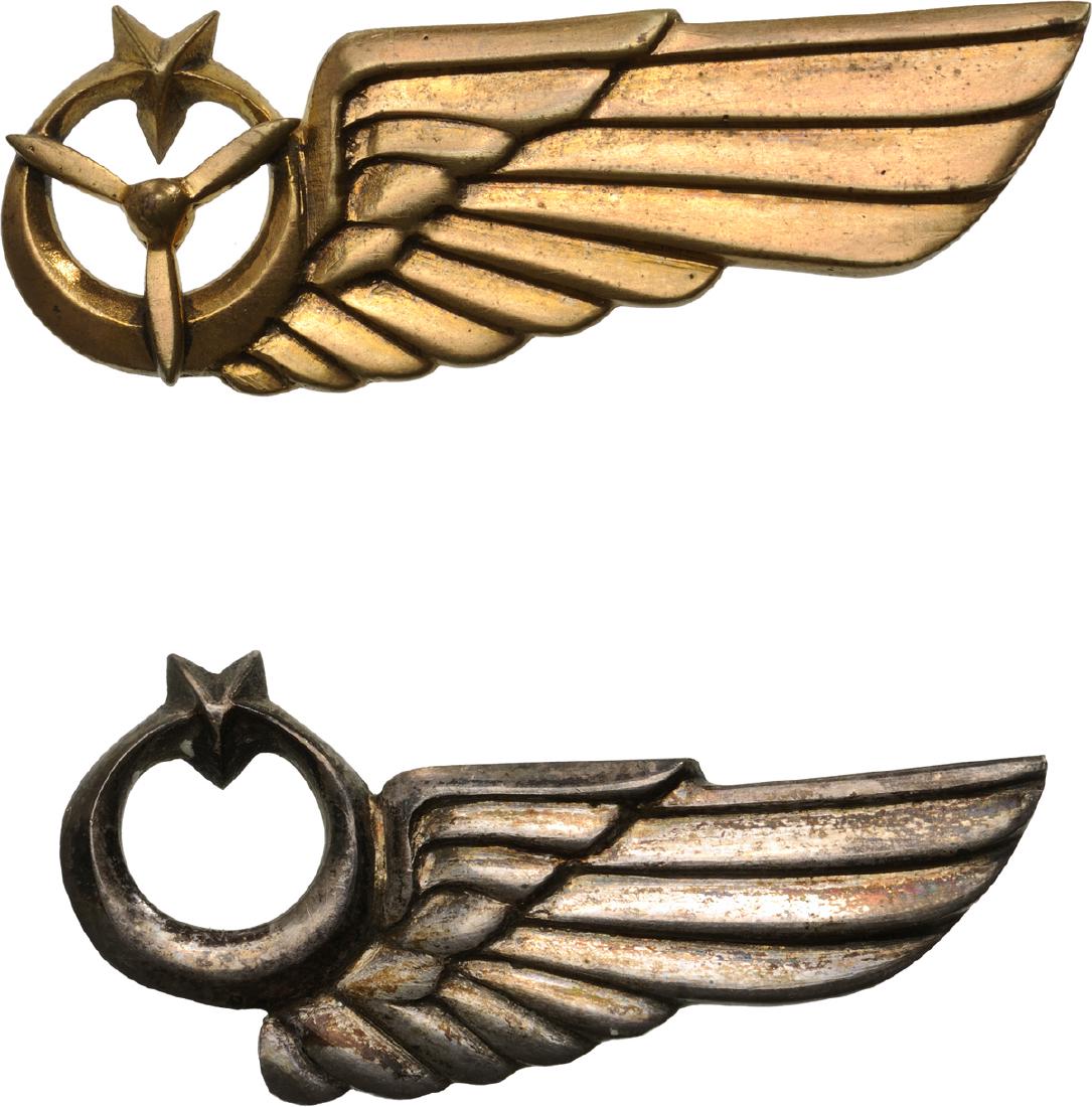 Pilot Wings (1 of 1)