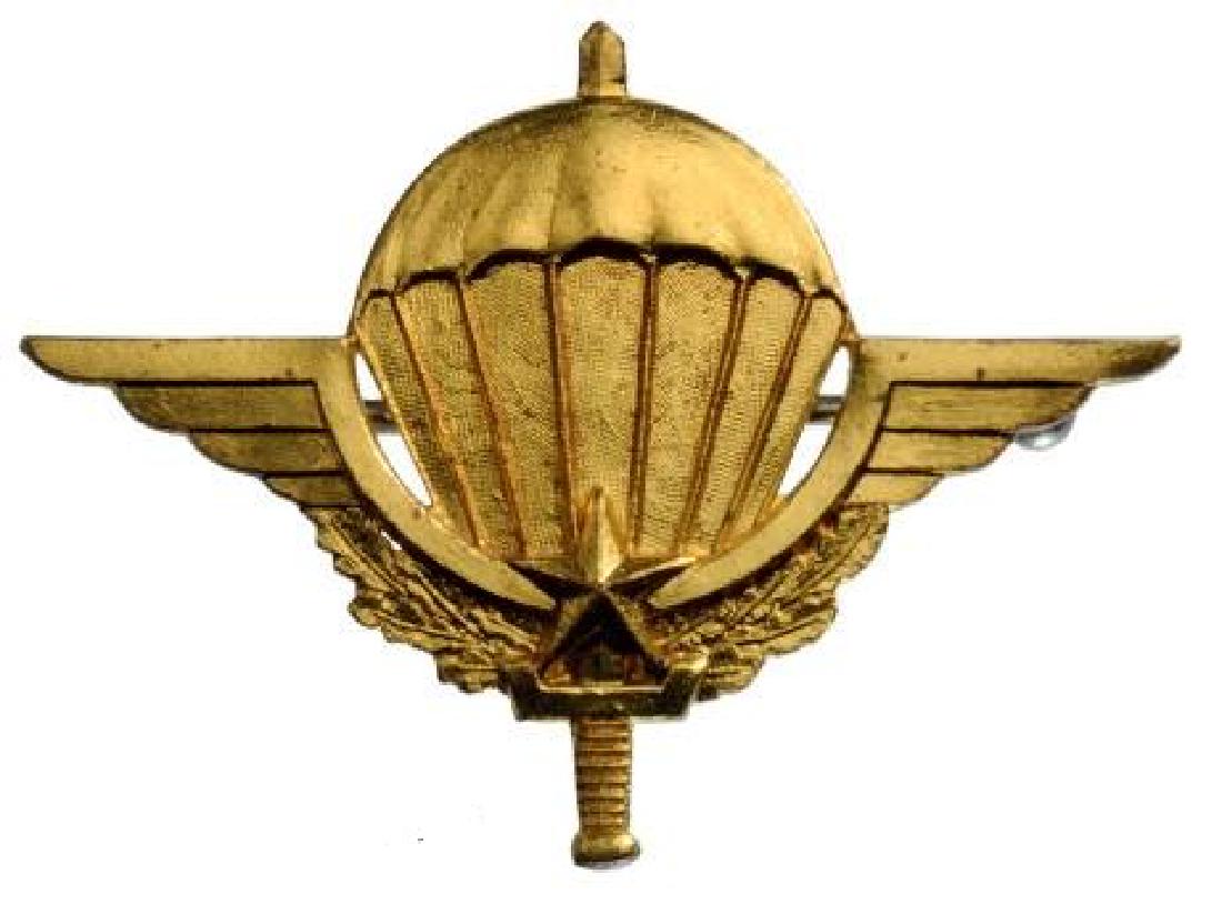 Military Paratrooper Badge (1 of 1)