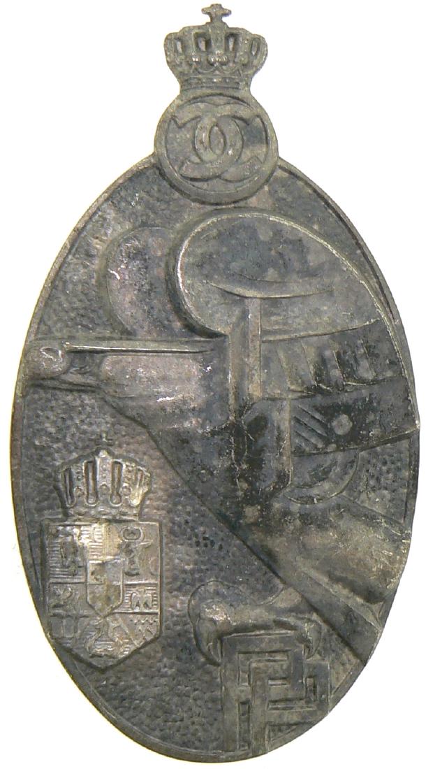 Premilitary Training Badge (1 of 1)