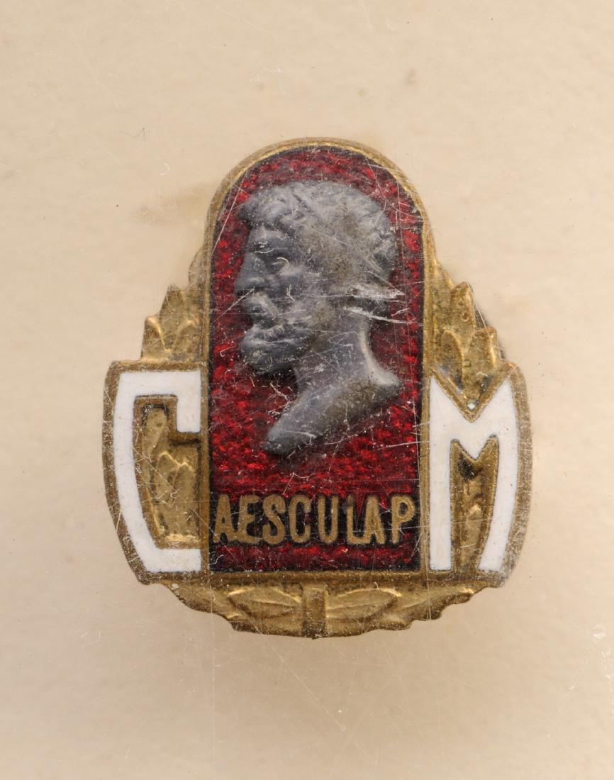 Promotion Document and Pin Badge (1 of 2)