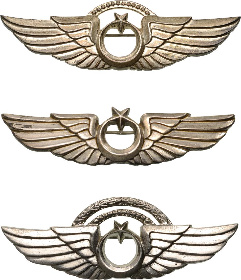 Pilot Wings (1 of 2)