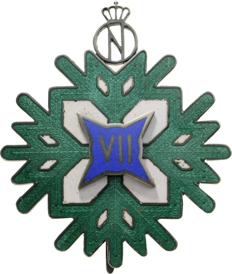 7 Year Badge of the 4th Mountain Battalion - Prince (1 of 1)