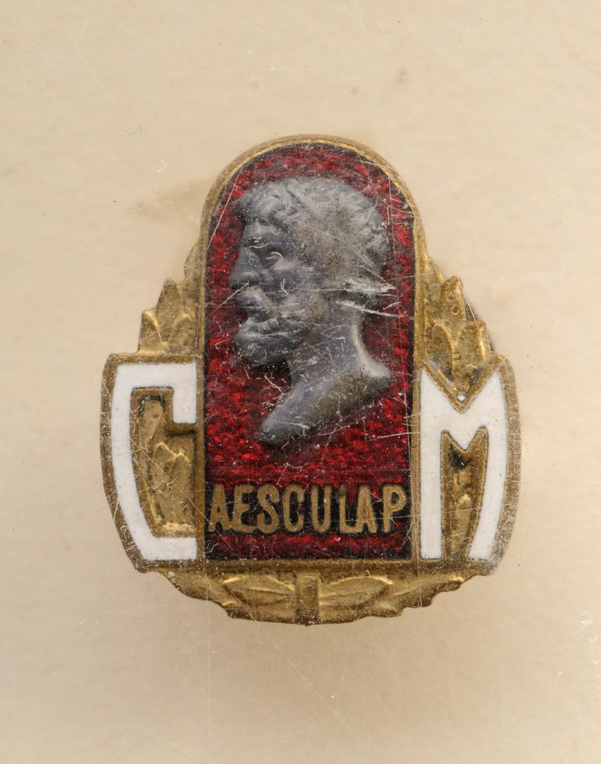 Promotion Document and Pin Badge (1 of 2)