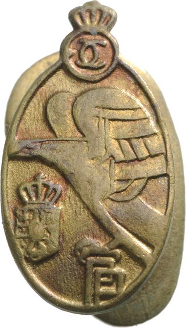 Premilitary Training Badge (1 of 1)