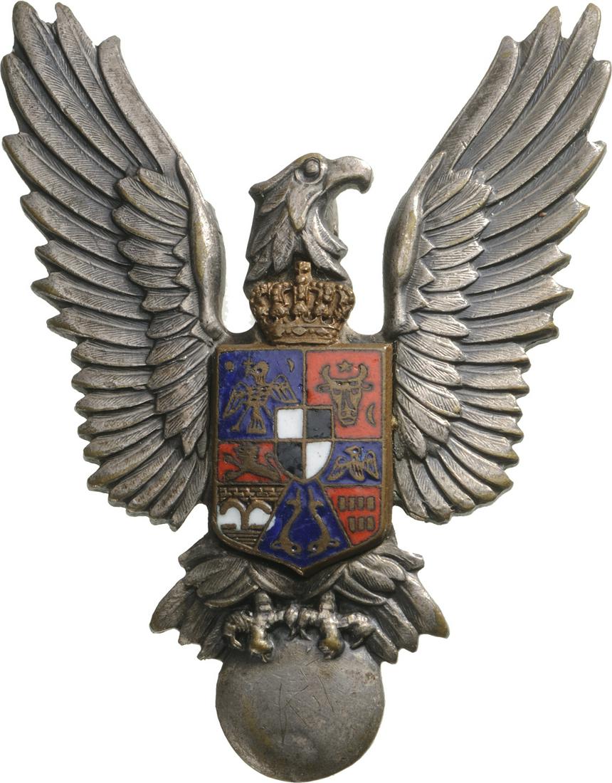 War Pilot Badge (1 of 1)