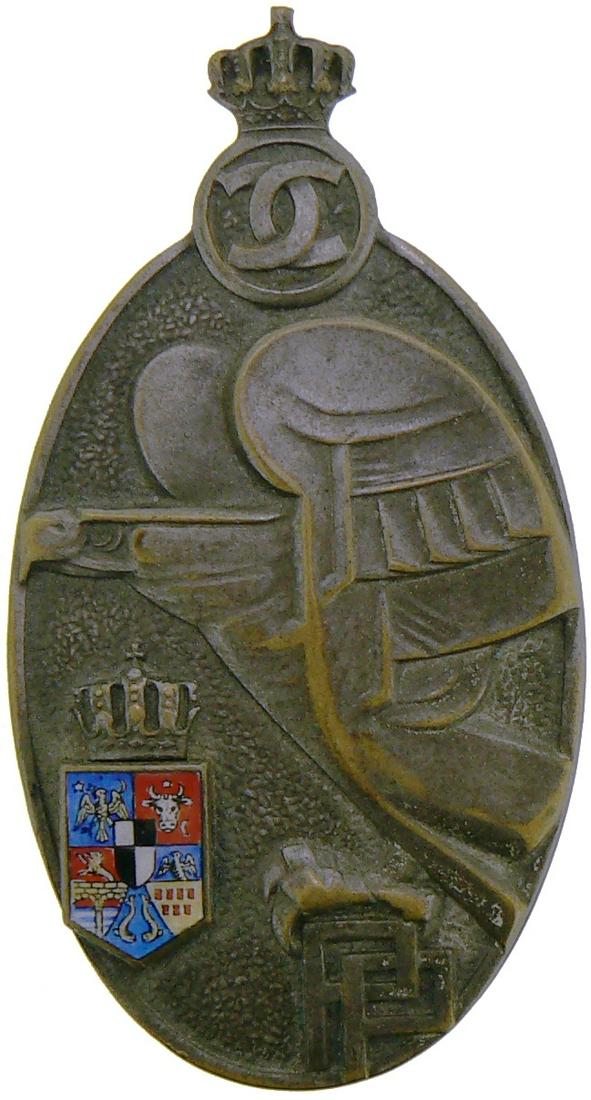 Premilitary Training Badge (1 of 1)