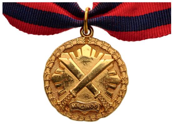 SPECIAL ACTION MEDAL (1 of 1)