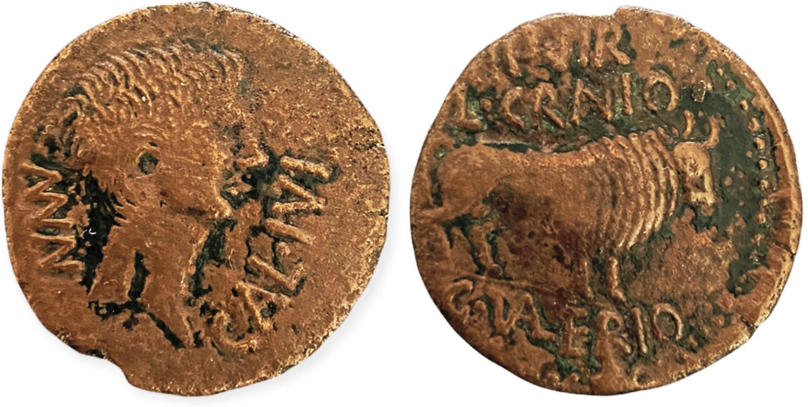 Hispania. Tiberius (14-37 AD) As AE 28 mm (11.59 g): MVN CAL IVL, bare head right/ II VIR L CRANIO C, bull standing right, C VALERIO. Abh-407. VF+