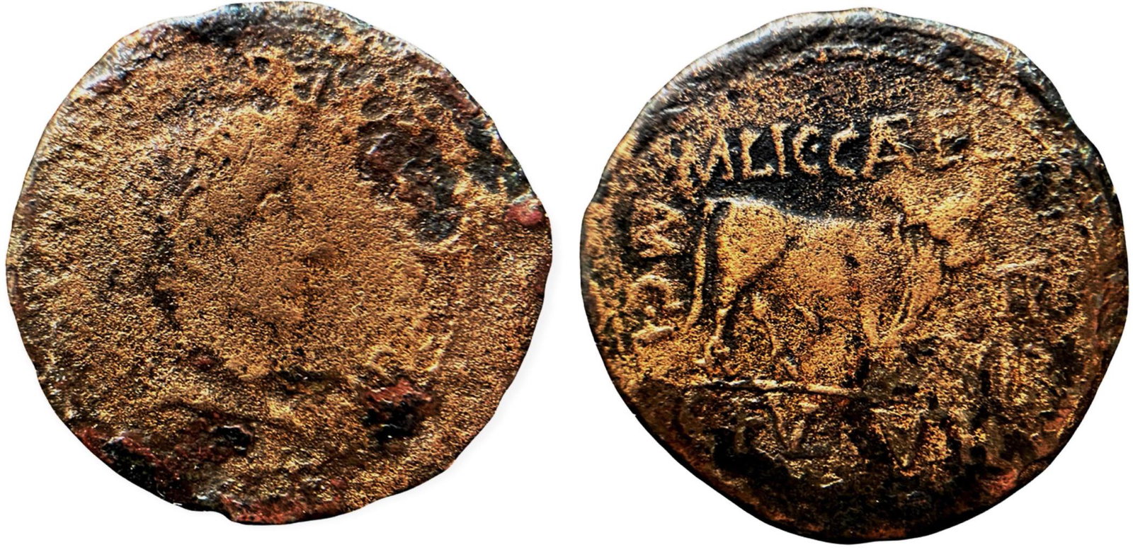 Hispania. Tiberius (14-37 AD) As AE 29 mm (12.13 g): IMP AVGVST PATER PATRIAE, bare head right/ MCI/ M LIC CAPE/ C FVL RVTI/ II VIR, bull standing right. RPC-444. VF