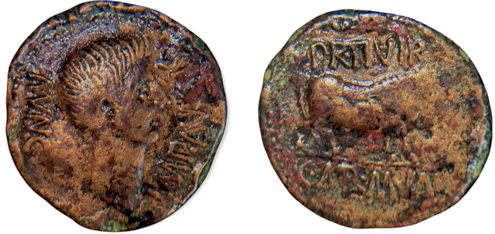 Hispania. Tiberius (14-37) As AE28 mm (13.31 g).: MVN CAL IMP AVGVS, bare head to right/ PR. II VIR. C. MAR. M. VAL bull standing right. ACIP-3121a. VF+