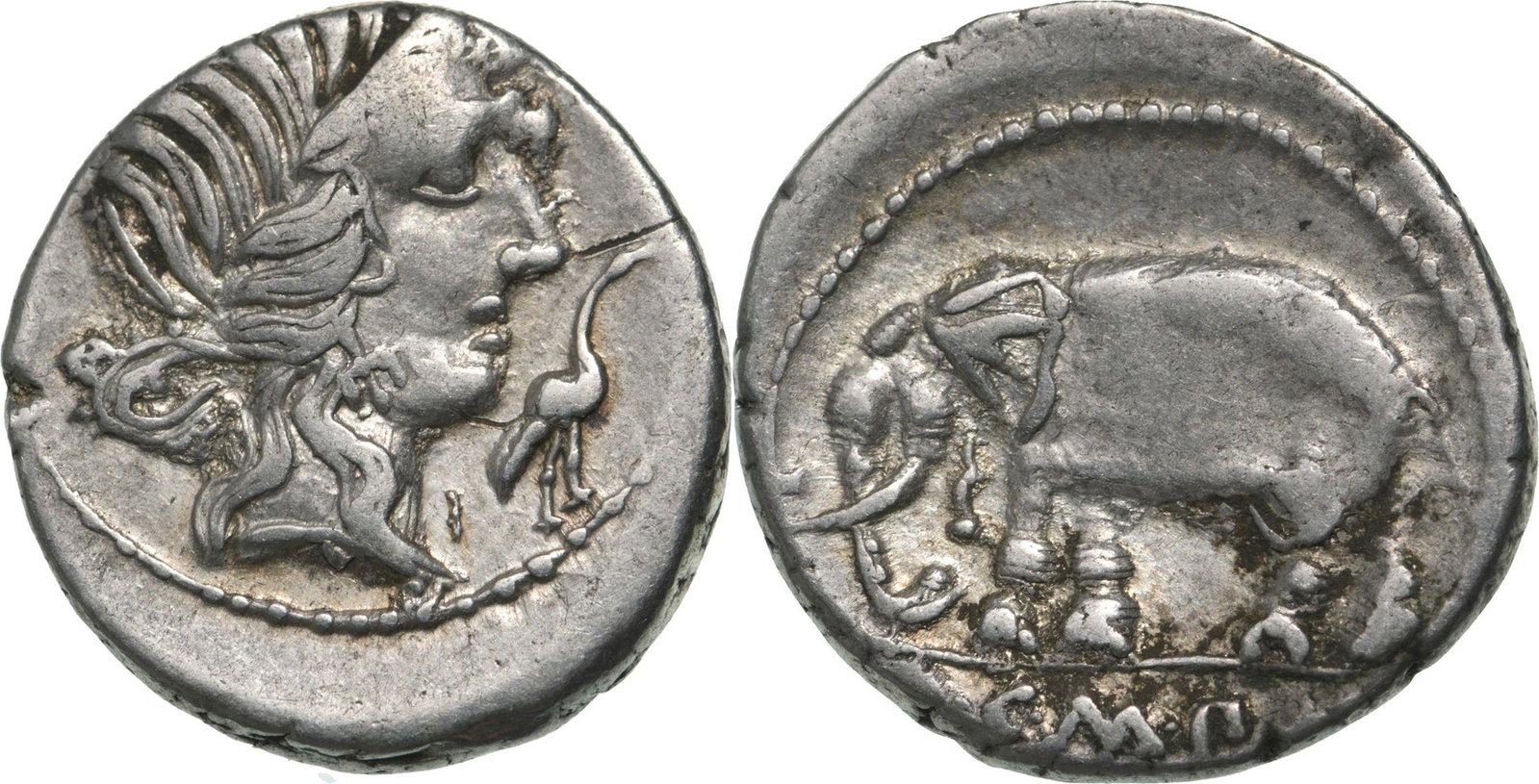 Q. Caecilius Metellus Pius. Denar, Silver (3.68 g) Northen Italy, 81 BC: Diademed head of Pietasto to right, stork before / Elephant walking to left, QCMPI in exergue. Crawford 374/1. VF+, scarce!