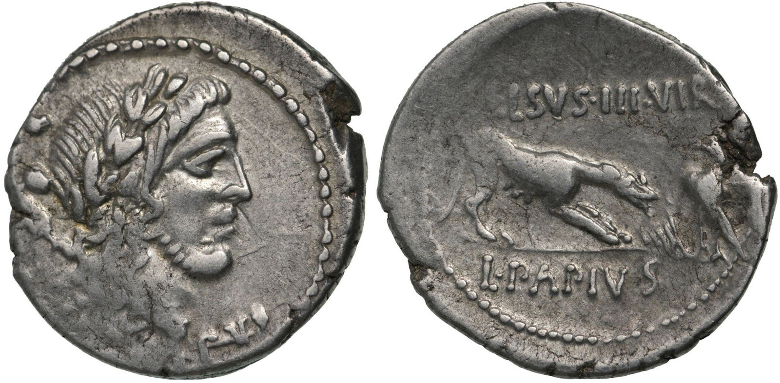L. Papius Celsus. Denar, Silver (3.81 g) Rome, 45 BC: Laureate head of Triumphus right, wearing slight beard, trophy over shoulder, TRIVMPVS below / She-wolf standing right, placing stick on fire, on right, eagle standing left, fanning the flames, CELSVS