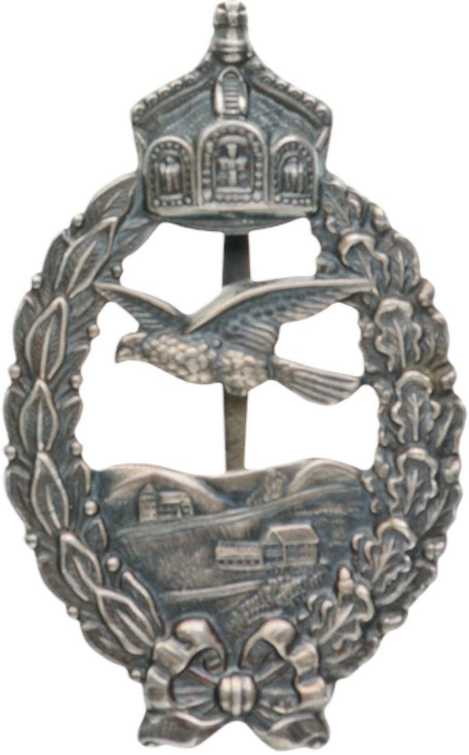 Pilot`s Commemorative Badge Reduced Size (1 of 1)
