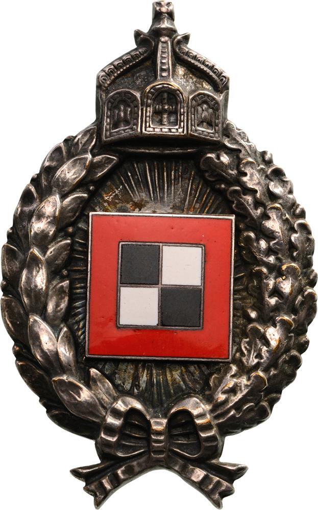 WWI Observer Badge (1 of 1)