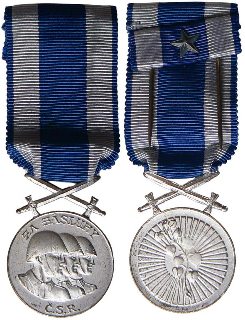 Merit Medal (1 of 1)