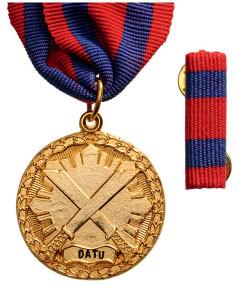 SPECIAL ACTION MEDAL (1 of 1)