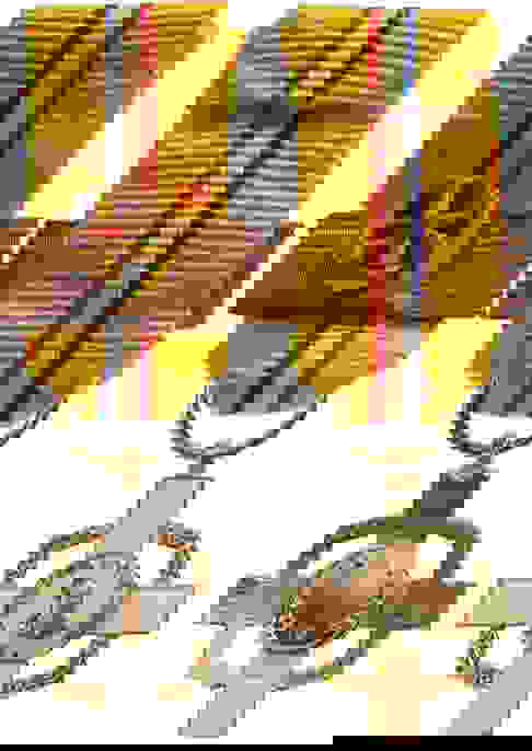 Order Of Manuel Amador Guerrero Auction