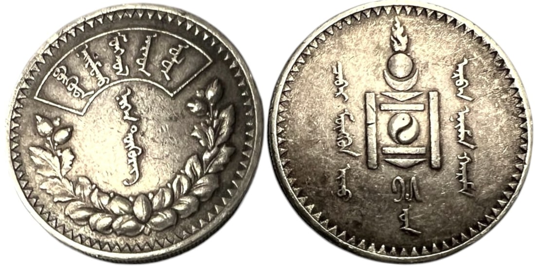 1 Tugrik 1925 (15), Leningrad mint: Silver, 19,92 g., 33 mm., KM# 8, N# 6496. XF