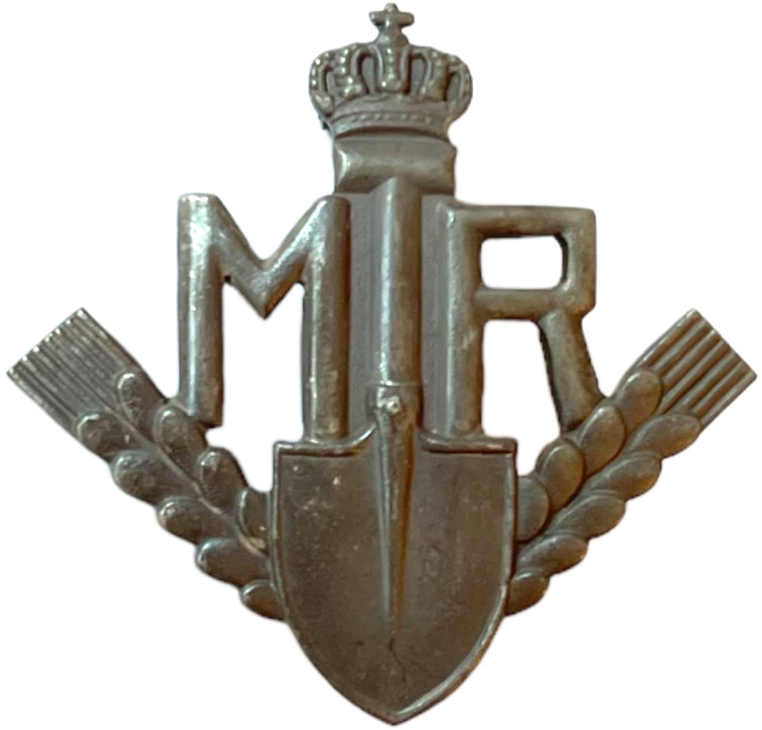 Badge of The Romanian Youth`s Work Organization: Organisation Breast Badge, 14x13 mm, silvered Bronze, thin pin on reverse. I.M.S.P.R. 602. Very Rare! RR! I