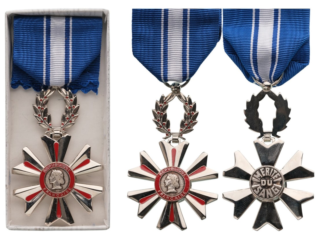Blood Merit Medal: Breast Badge, 60x40 mm, silvered Metal, original suspension ring and ribbon, in case. Mint state! I
