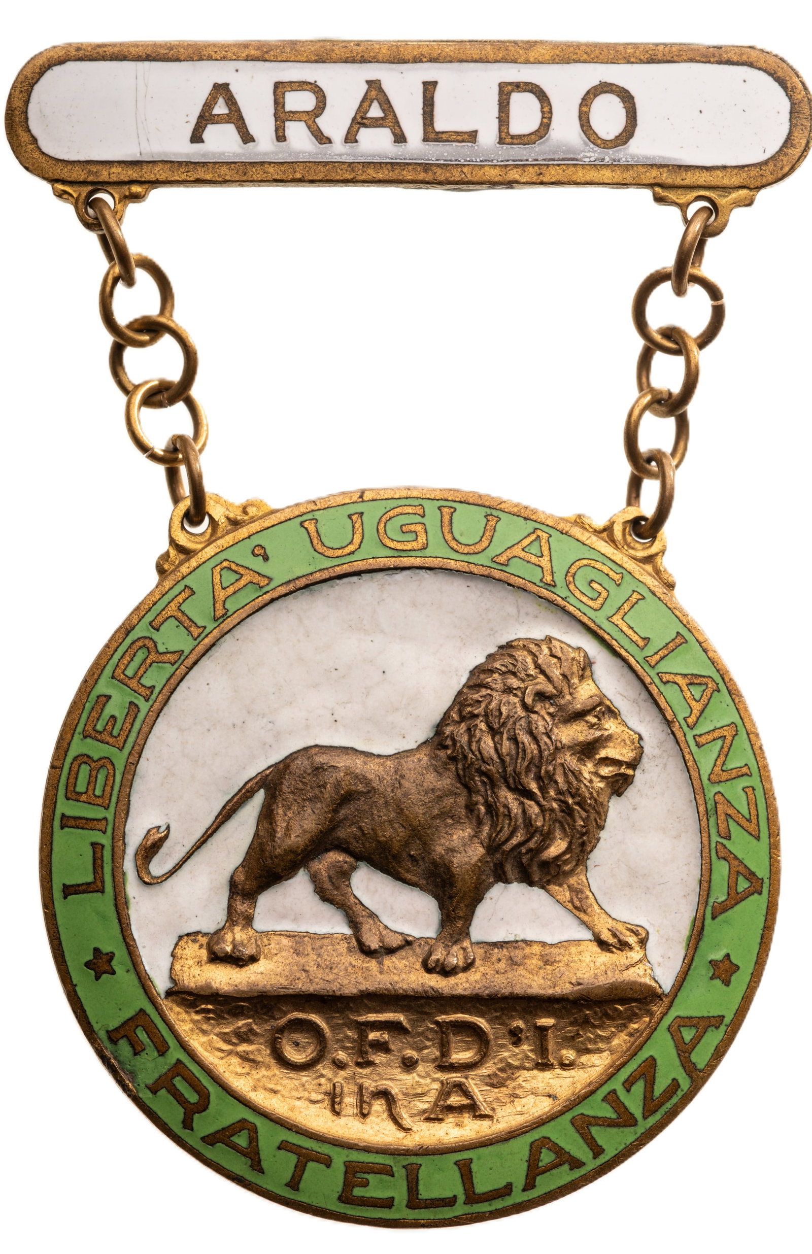 Order of Sons and Daughters of Italy in America (OFDIA), 1905: Breast Badge, 83x53 mm, gilt Bronze, one side enameled, original suspension chain and enameled bar named to "Araldo". A large impressive order, in extremely fine condition! I