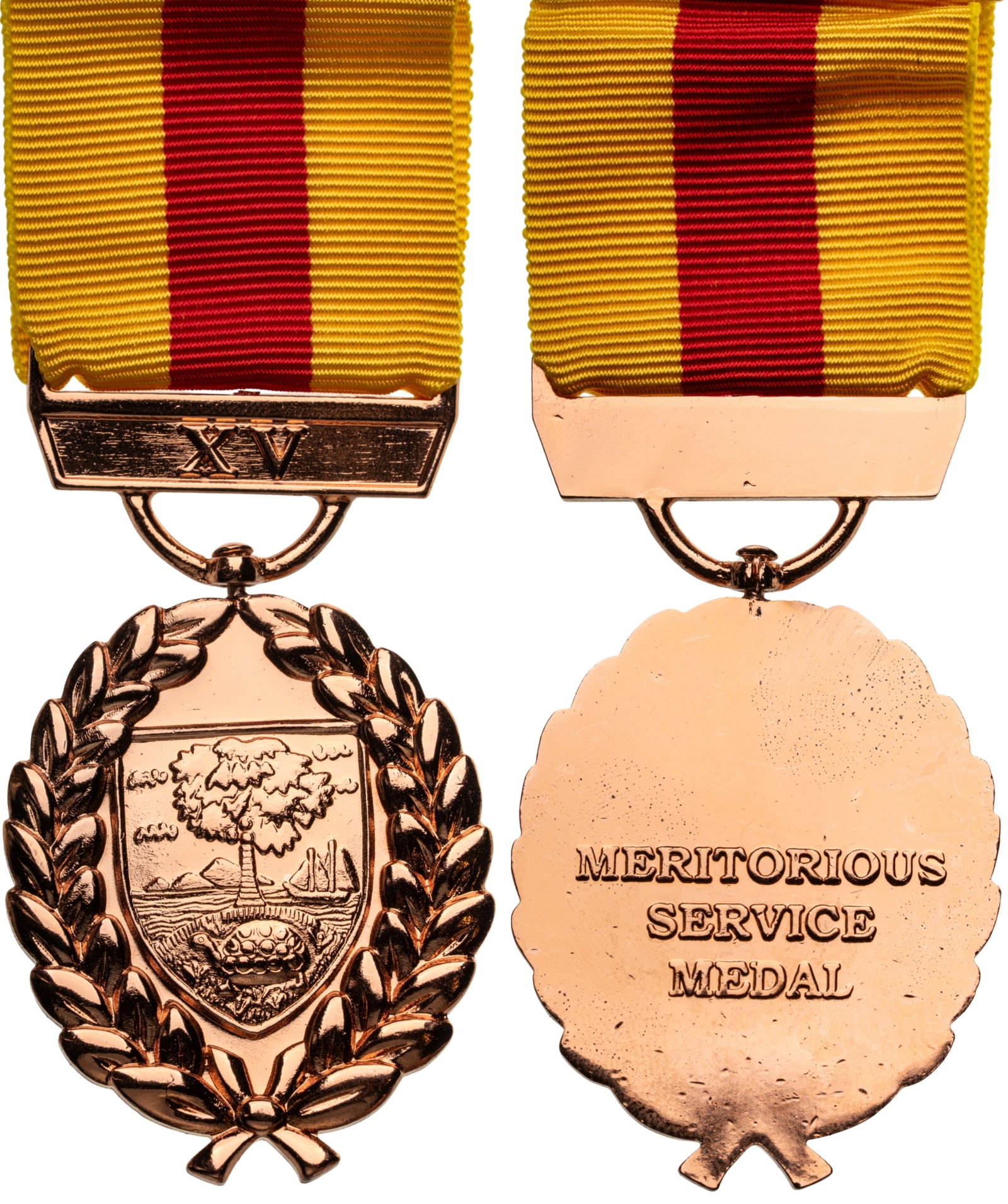 The Meritorious Service Medal (1 of 1)